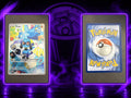 Riolu IR NM DE